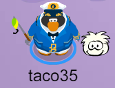 An image of a club penguin avatar with the name 